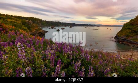 Eine wunderschöne Meereslandschaft an einem nordkalifornischen Strand. Stockfoto