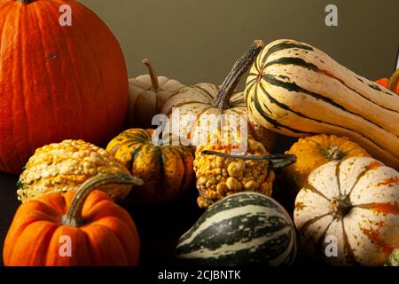 Foto einer Vielzahl von Kürbissen, Kürbisse und Kürbisse zufällig auf schwarzem Hintergrund verteilt. Ein ideales Bild für Herbsternte, halloween, Dank geben t Stockfoto