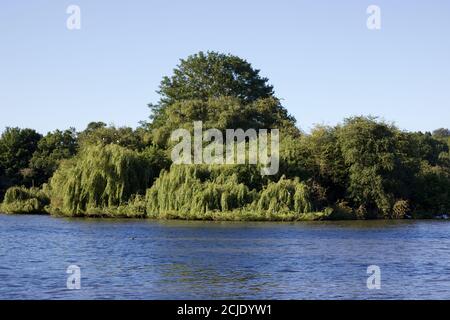 Schönes Bild von See mit Bäumen und Laub über und Blauer Himmel Stockfoto