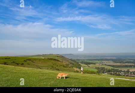 Brighton UK 15. September 2020 - Es ist ein schöner sonniger Morgen für Hundewanderer am Devils Dike nördlich von Brighton mit Temperaturen, die in Teilen des Südostens wieder 30 Grad erreichen werden : Credit Simon Dack / Alamy Live News Stockfoto