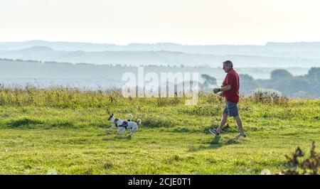 Brighton UK 15. September 2020 - Es ist ein schöner sonniger Morgen für Hundewanderer am Devils Dike nördlich von Brighton mit Temperaturen, die in Teilen des Südostens wieder 30 Grad erreichen werden : Credit Simon Dack / Alamy Live News Stockfoto