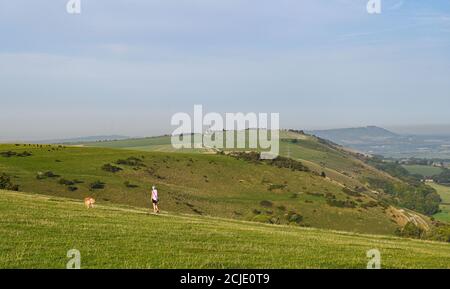 Brighton UK 15. September 2020 - Es ist ein schöner sonniger Morgen für Hundewanderer am Devils Dike nördlich von Brighton mit Temperaturen, die in Teilen des Südostens wieder 30 Grad erreichen werden : Credit Simon Dack / Alamy Live News Stockfoto