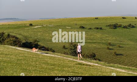 Brighton UK 15. September 2020 - Es ist ein schöner sonniger Morgen für Hundewanderer am Devils Dike nördlich von Brighton mit Temperaturen, die in Teilen des Südostens wieder 30 Grad erreichen werden : Credit Simon Dack / Alamy Live News Stockfoto
