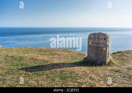 South West Coast Path Steinweg Markierung am St Aldhelm's Head entlang der Jurassic Coast in der Nähe von Swanage, Dorset, England, Großbritannien Stockfoto