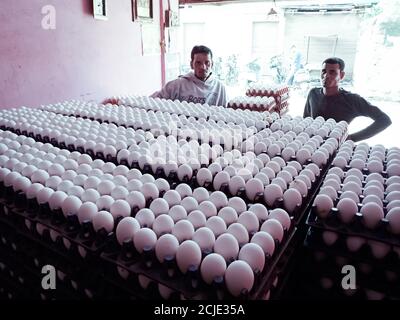 DISTRIKT KATNI, INDIEN - 06. DEZEMBER 2019: Eierkisten auf Hühnerladen auf dem Fleischmarkt ausgestellt. Stockfoto