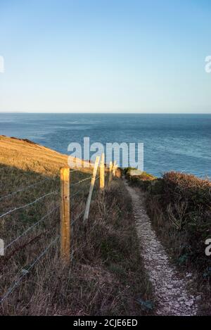 Der South West Coast Path in der Nähe von St Aldhelm's Head geht es weiter in Richtung Osten auf der Isle of Purbeck, Dorset, England, Großbritannien Stockfoto