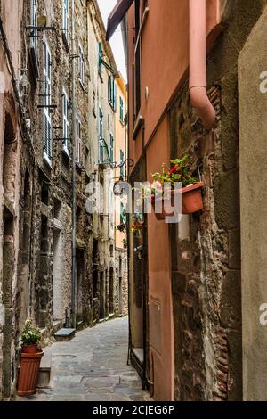 Herrliche Aussicht auf eine schmale Straße und Häuser mit alten Fassaden auf jeder Seite in der historischen Dorf Corniglia an der Küste von Cinque Terre,... Stockfoto