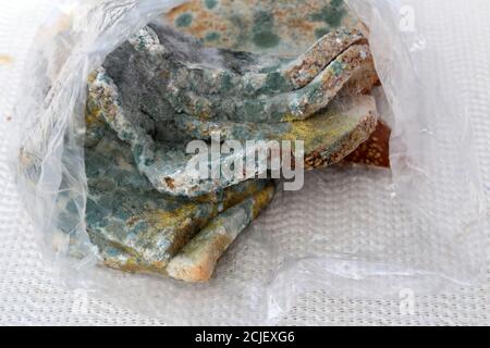 High-Winkel Schuss von abgestandenen schimmeligen Brot in einem Kunststoff Tasche Stockfoto