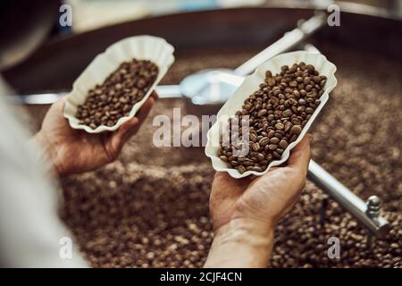 Männlicher Arbeiter überprüft die Qualität von frisch gerösteten Kaffeebohnen Stockfoto