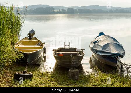 Fischerboote am Ufer der Insel Reichenau, Bodensee, Landkreis Konstanz, Baden-Württemberg, Deutschland Stockfoto