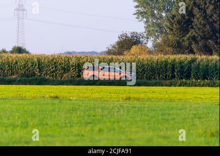 Ein Geländefahrzeug fährt durch die Felder und hinter dem Fahrzeug ist ein Maisfeld Stockfoto