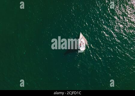 Tolle Aussicht auf Yacht Segeln im offenen Meer an windigen Tag. Stockfoto