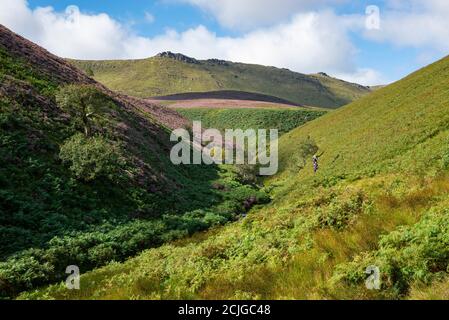 Wanderer auf dem Weg entlang Fairbrook führt bis zum nördlichen Rand von Kinder Scout, Peak District, Derbyshire, England. Stockfoto