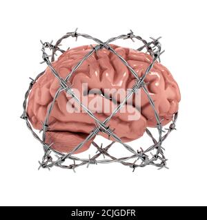 Freier Gedanke, Zensur, Redefreiheit 3d-Konzept - menschliches Gehirn unter Barbwire über weißem Hintergrund Stockfoto