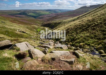 Pfad entlang Fairbrook, der zum nördlichen Rand von Kinder Scout, Peak District, Derbyshire, England führt. Heidekraut in Blüte auf den Moorhängen. Stockfoto