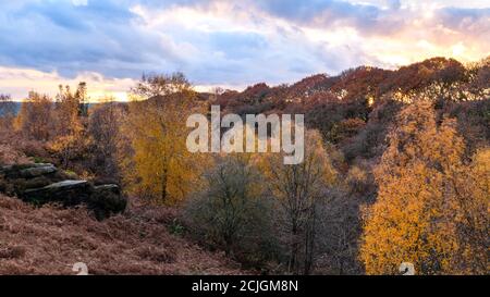 Herbstfarben, landschaftlich reizvolle Waldlandschaft, Bäume an steilen Hängen, farbenfrohe Blätter und Sonnenuntergang - Shipley Glen, West Yorkshire, England, Großbritannien. Stockfoto