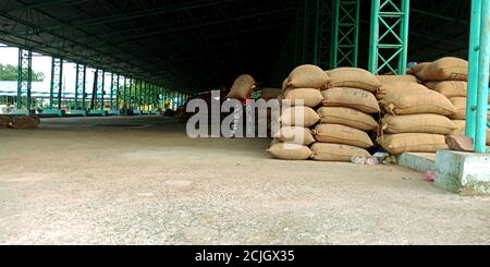 DISTRIKT KATNI, INDIEN - 04. AUGUST 2019: indischer Dorfbauer, der in der Landwirtschaft galla mandi in der Nahrungsmittelkorportion von indien arbeitet. Stockfoto