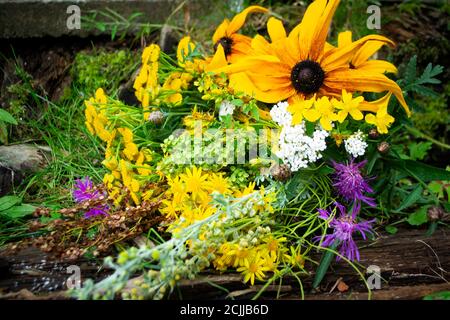 Buntes Sommerbukett mit Heilpflanzen. Verschiedene therapeutische Kräuter und Blumen für den Einsatz in der Alternativmedizin und Kosmetologie. Stockfoto