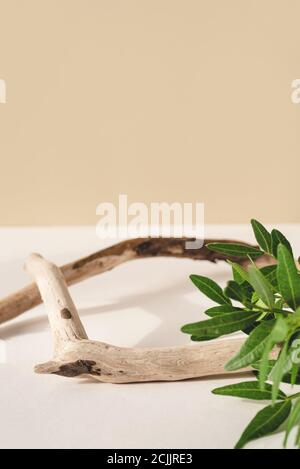 Natürlicher Hintergrund für kosmetische Produkte. Stockfoto