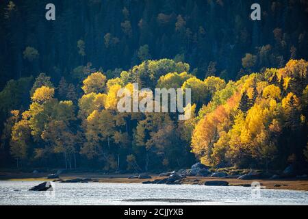 Herbstfarben in Baie-Sainte-Marguerite, Saguenay Fjord National Park, Quebec, Kanada Stockfoto