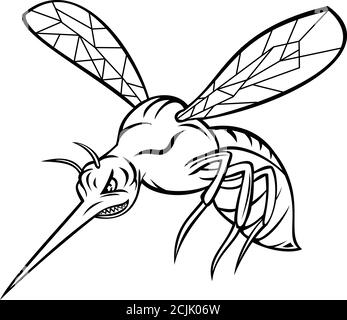 MASCOT Illustration einer Gelbfiebermücke oder Aedes aegypti, einer Mücke, die Dengue-Fieber, Chikungunya, Zika-Fieber-Virus verbreiten kann, fliegen auf iso Stock Vektor