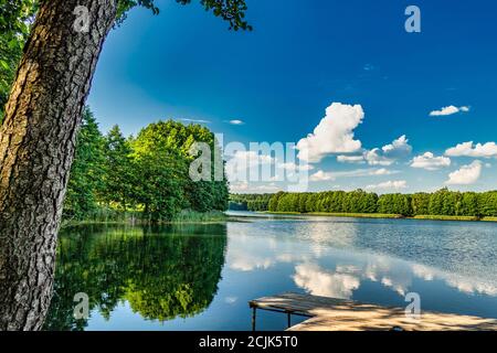 Sonnige Sommerlandschaft mit blauem Himmel und weißen Wolken. Landschaft See und Wald Panorama Stockfoto