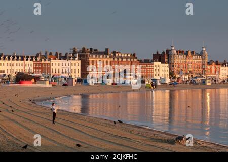 Ein Hundespaziergang hält an, um ein Foto am Weymouth Beach in der Morgendämmerung, Jurassic Coast, Dorset, England, Großbritannien, zu machen Stockfoto