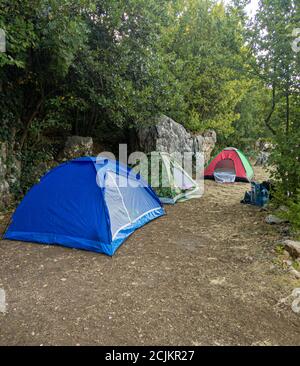 Camping und Zelt unter dem Pinienwald bei Sonnenuntergang nördlich des Libanon Stockfoto