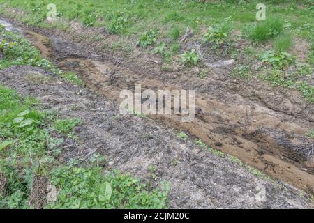 Frei fließende landwirtschaftliche Feld Abfluss vor kurzem gereinigt und von aquatischen Unkräutern gereinigt. Für Landmanagement, Wasserablaufmanagement, Hochwasserschutz. Stockfoto