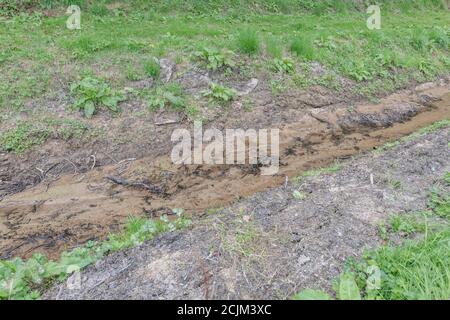 Frei fließende landwirtschaftliche Feld Abfluss vor kurzem gereinigt und von aquatischen Unkräutern gereinigt. Für Landmanagement, Wasserablaufmanagement, Hochwasserschutz. Stockfoto