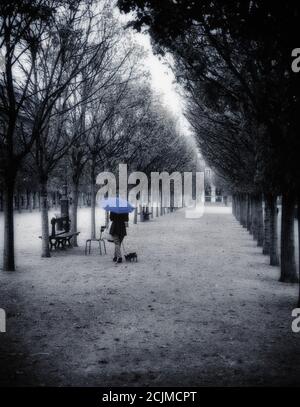 Frau mit einem Regenschirm, die ihren Hund läuft. Jardin du Palais Royal, Paris, Frankreich Stockfoto