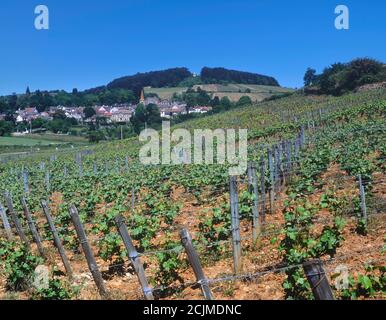 Pernand - Vergelesses Dorf, Burgund Weinberge, Cote d'Or, Burgund, Frankreich. Cote de Beaune Stockfoto