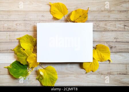 Gelbe Blätter Herbst hölzernen Hintergrund weiß Blanc Papier kopieren Raum Stockfoto