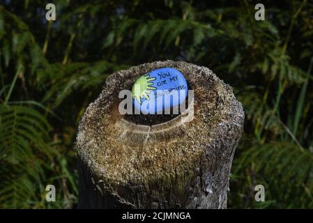 Du bist mein Sonnenschein, gemalt auf einen Stein. Blauer Himmel mit einer Sonne. Auf einem Baumstumpf mit grünem Hintergrund. Positivitätskonzept keine Menschen. Stockfoto