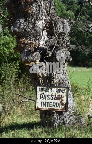 Altes Schild Privateigentum, kein Eintrag oder Keep Out Schild genagelt an einen alten knorrigen Baum Provence Frankreich Stockfoto