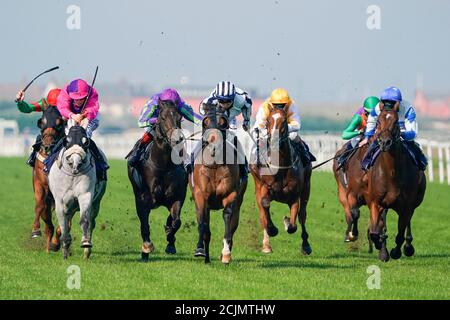 Großvater Tom, geritten von Ray Dawson (Mitte), gewinnt auf Twitter das Follow at the Races Handicap auf der Great Yarmouth Racecourse. Stockfoto