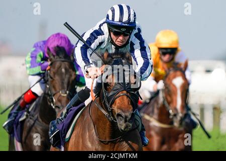 Großvater Tom geritten von Ray Dawson geht auf die Folgen bei den Rennen auf Twitter Handicap auf Great Yarmouth Racecourse zu gewinnen. Stockfoto