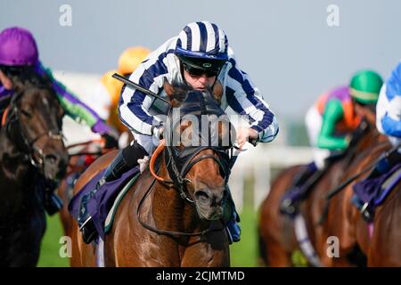 Großvater Tom geritten von Ray Dawson geht auf die Folgen bei den Rennen auf Twitter Handicap auf Great Yarmouth Racecourse zu gewinnen. Stockfoto