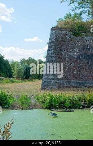 Lille Frankreich - 4. August 2020 - Zitadelle von Lille Erbaut von Vauban Stockfoto