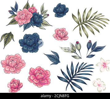Set von Blumenzweig. Blume rosa Rose, grüne Blätter. Hochzeitskonzept mit Blumen. Blumenposter, Einladung. Vector Arrangements für Grußkarte oder in Stock Vektor