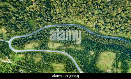 Die Straße im Wald wurde aus der Vogelperspektive aufgenommen. Stockfoto