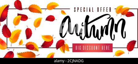 Sammlung von Herbst Verkauf und andere Typografie Banner-Vorlage. Helle Herbstblätter. Große zum Verkauf Poster, Karte, Label, Design. Stock Vektor