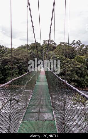 Sarapiqui Abenteuer Hängebrücke Canopy Touren im Regenwald, Atlantische Zone von Costa Rica. Stockfoto