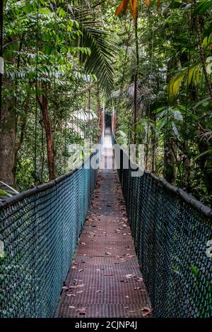 Sarapiqui Abenteuer Hängebrücke Canopy Touren im Regenwald, Atlantische Zone von Costa Rica. Stockfoto