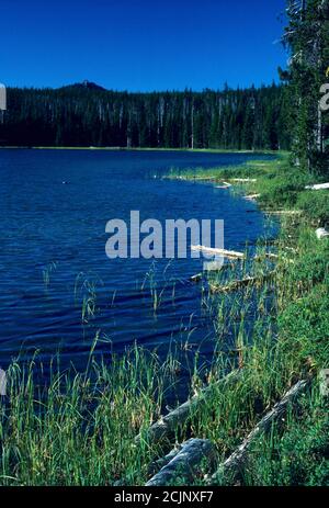 Maidu Lake, Mt Thielsen Wilderness, Umpqua National Forest, Oregon Stockfoto