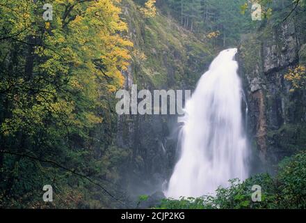 North Fork Smith River Falls, Kentucky Falls Special Interest Area, Siuslaw National Forest, Oregon Stockfoto