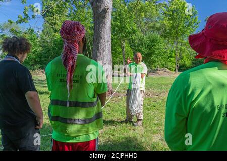 Detroit, Michigan - Arbeiter der Detroit Grounds Crew lernen, wie man die Seile benutzt, die sie brauchen, um tote oder unerwünschte Bäume abzureißen. Stockfoto