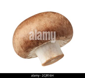 Ein frischer Champignon auf weißem Hintergrund mit Clipping Pfad isoliert. Stockfoto