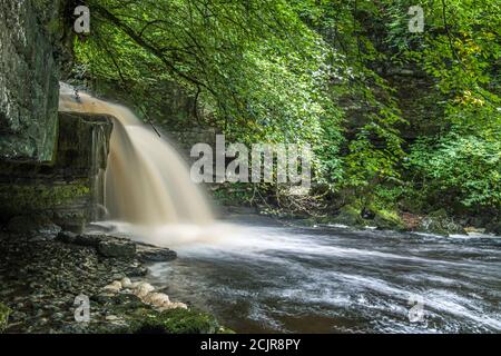 West Burton Falls in Bishopdale Yorkshire Dales National Park.sehr beliebt bei Besuchern und Touristen. September. Stockfoto