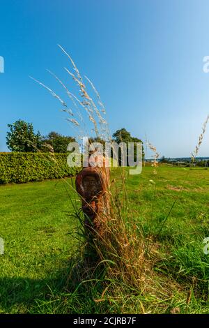 Fjordveyen, Gemeinde Kruså oder Krusau, Südjütland, Dänemark, Nordeuropa, Stockfoto